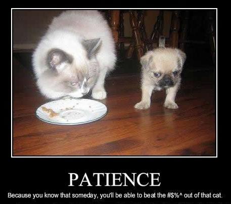 patience