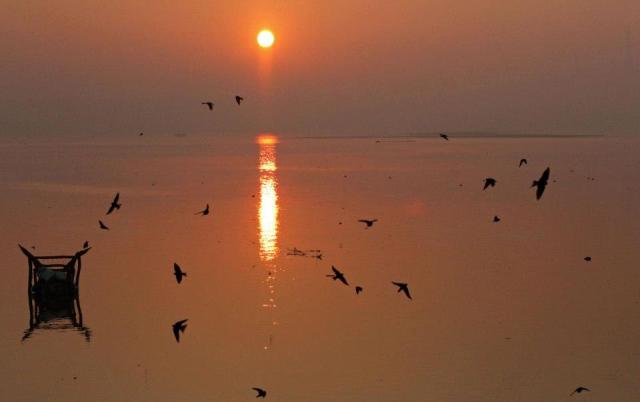 521269_10151440806509917_844624640_n