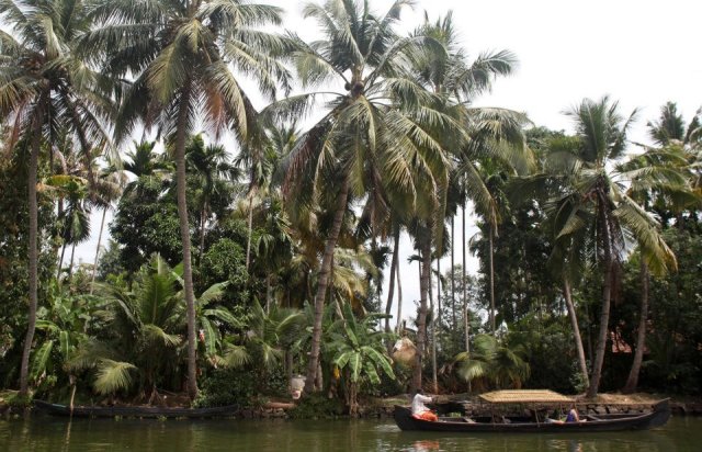 184359_10151446157834917_889468865_n