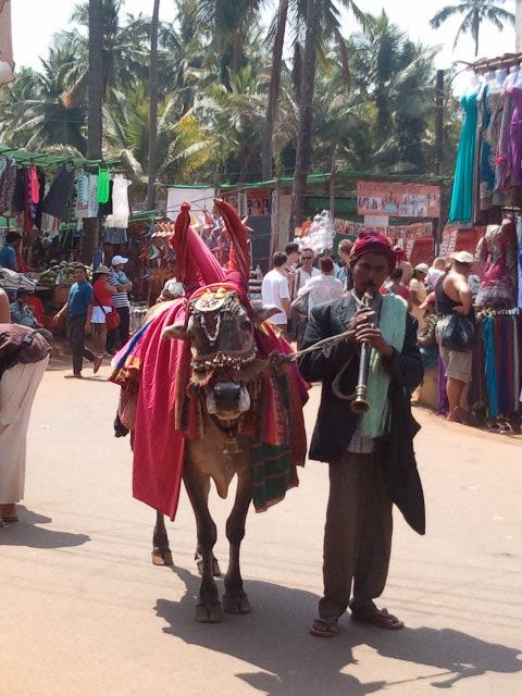 563114_10151448320028536_1659348234_n